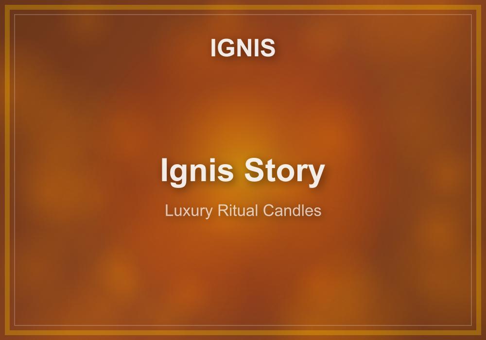 The IGNIS journey and founders